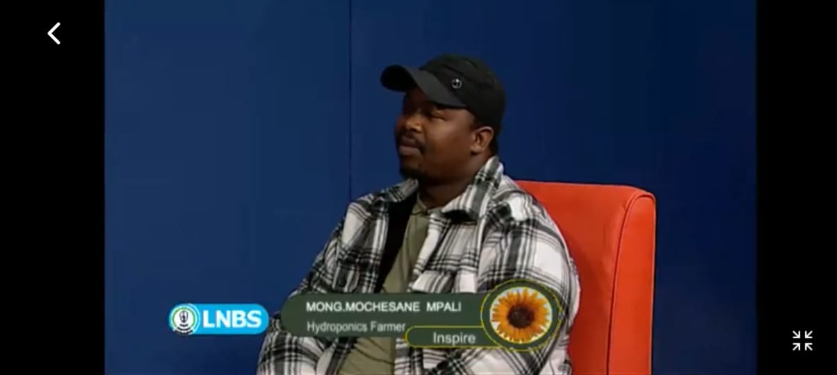 CEO on national TV